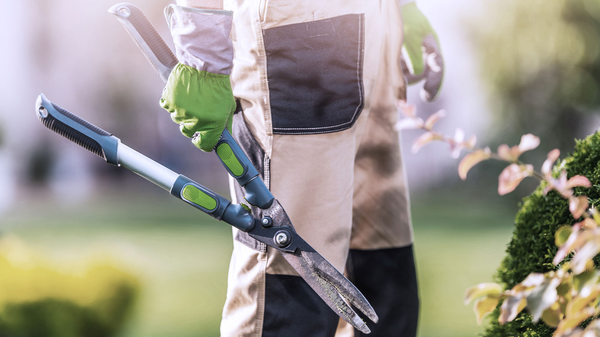 Ein Gärtner mit einer Heckenschere in der Hand
